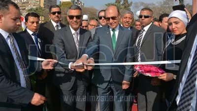 بالصور.. 