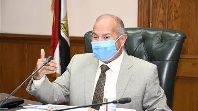 «التخطيط»: إيقاف 30 خدمة بالمراكز التكنولوجية للمحليات لإتاحتها إلكترونيا