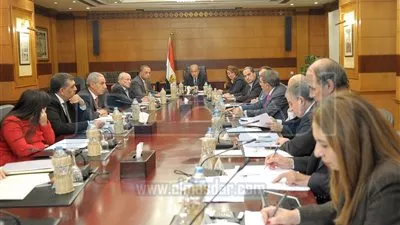 لجنة وزارية لبحث تعديل العقود التى أبرمتها الدولة بعد تحرير سعر الصرف