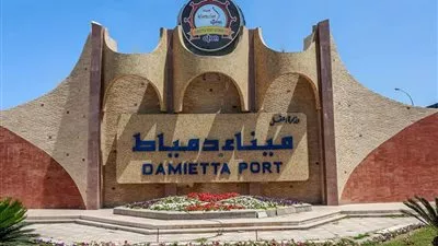 ميناء دمياط يستقبل 11 سفينة حاويات وبضائع خلال 24 ساعة