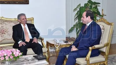 السيسى يبحث سبل تعزيز التعاون المشترك مع وزير الإنتاج الحربي الباكستاني 