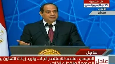 السيسي: 