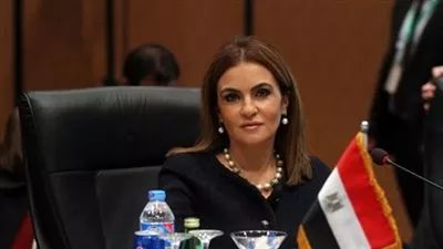 إنشاء شركة تحيا مصر القابضة للاستثمار برأس مال 200 مليون جنيه