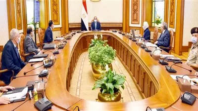 السيسى يوجه باستكمال المشروع القومي للاكتفاء الذاتي من مشتقات البلازما