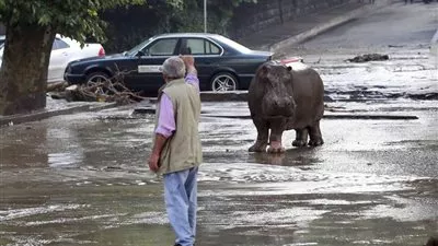 بالفيديو.. فيضانات 