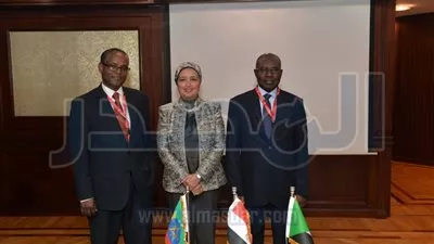 بدء اجتماعات صندوق تمويل المشروعات التنموية بدول أثيوبيا والسودان ومصر