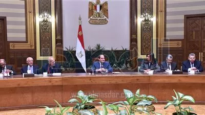 السيسى يلتقى وفد من العلماء المصريين المشاركين في مؤتمر 