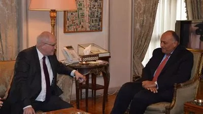 وزير الخارجية يؤكد لمسئول ألمانى على الثوابت المصرية تجاه القضية السورية