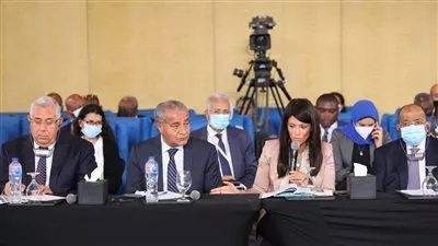 منتدى Egypt ICF: أفريقيا تمتلك مقومات تحقيق الأمن الغذائي