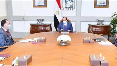 السيسى يوجه بالتوسع في المشروعات القومية لاستخدام مصادر الطاقة الجديدة