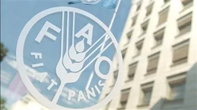 «الفاو»: أزمة البحر الأحمر سترفع أسعار المواد الغذائية في العالم