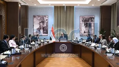 «مدبولي»: توجيهات رئاسية بالإفراج الفوري عن البضائع من الموانئ