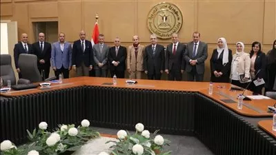 إطلاق «منصة مصر للطاقة الشمسية» وربطها بشبكة الكهرباء القومية