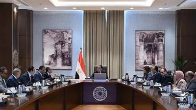 الحكومة تعلن إلغاء «مقابل الدمج» السابق إقراره بشأن مشروعات الطاقات المتجددة