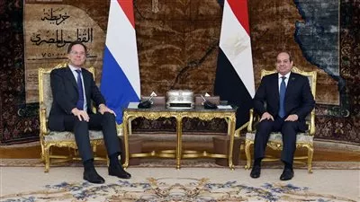 السيسي يبحث مع رئيس وزراء هولندا تطوير العلاقات الثنائية والوضع في غزة