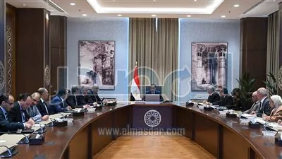 رئيس الوزراء يتابع الموقف التنفيذي لمشروعات تنمية سيناء