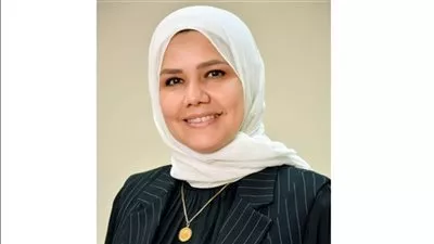 «الضرائب»: إرسال 400 مليون إيصال على المنظومة الإلكترونية حتى الآن 