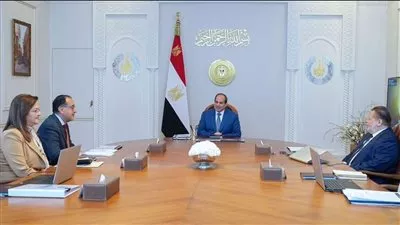 الرئيس السيسي يوجه بتكثيف جهود تحقيق الاستدامة الاقتصادية وزيادة المشروعات الإنتاجية 