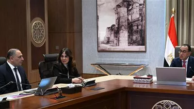 مصر تدرس تخصيص أراضي لتنفيذ مشروعات بمجال الطاقة المتجددة والهيدروجين الأخضر