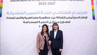 «المشاط»: تنفيذ برامج تعاون مع الأمم المتحدة بمنح قيمتها 178 مليون دولار