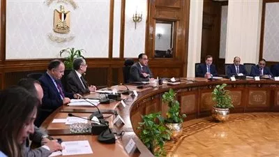رئيس الوزراء يتابع جهود فض التشابكات المالية بين عدد من الجهات