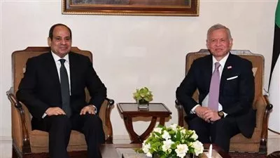 الرئيس السيسي وعاهل الأردن يؤكدان ضرورة الوقف الفوري لإطلاق النار في غزة