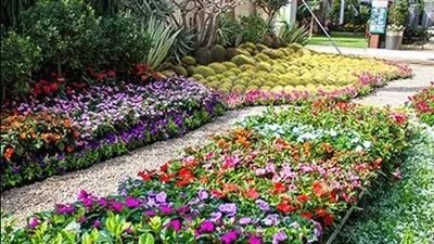 «الزراعة» تبدأ تلقي طلبات المشاركة في النسخة 91 لمعرض زهور الربيع