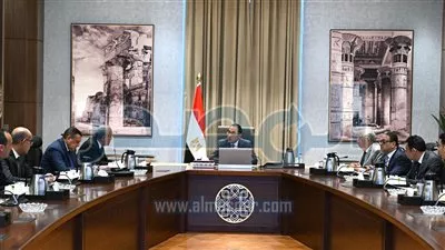 «مدبولي» يوجه باستنباط أصناف من تقاوي الأرز قليلة استهلاك المياه وكثيفة الإنتاج  