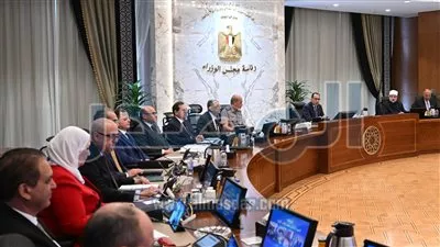 إنشاء منطقة حرة خاصة باسم شركة قناة السويس للقوارب الحديثة