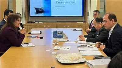 وزير المالية: مستمرون فى الإصلاحات الهيكلية لتوسيع دور القطاع الخاص بالاقتصاد المصرى