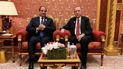 وزير الخارجية ينقل رسالة شفهية من الرئيس السيسي لنظيره التركي 