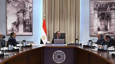 رئيس الوزراء: تيسيرات جديدة لتشجيع تصنيع وزيادة صادرات الأسمدة 