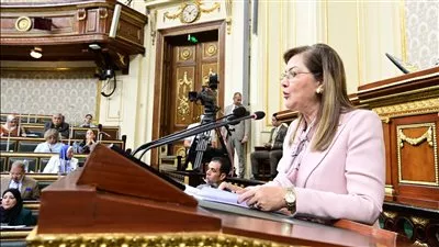 وزيرة التخطيط: 4.2% معدل النمو المستهدف خلال 2024-2025