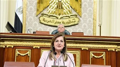 «التخطيط»: 179 مليار جنيه استثمارات أنشطة الزراعة والري خلال العام المالي القادم 