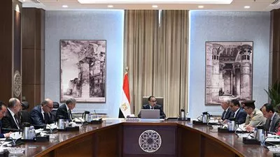 الحكومة تؤكد وفرة الدولار بالجهاز المصرفى لزيادة احتياطي السلع الأساسية