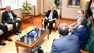 مصر تبحث إنشاء مشروع لإنتاج سيانيد الصوديوم باستثمارات 160 مليون دولار