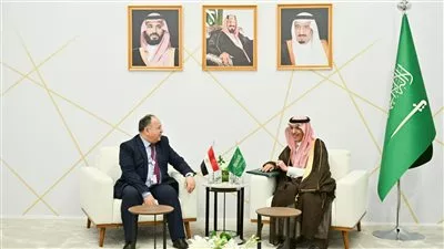 وزير المالية يبحث مع نظيره السعودي تعزيز فرص التعاون الاقتصادي المشترك
