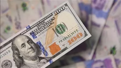 استقرار أسعار صرف الدولار مقابل الجنيه المصري في بداية تعاملات اليوم