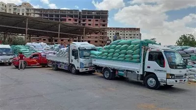 «التموين»: توريد 1.8 مليون طن قمح محلي و المستحقات خلال 48 ساعة 