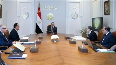 الرئيس السيسي يوجه بتعزيز جهود الاستفادة من مشروع مستقبل مصر 