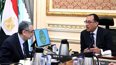 رئيس الوزراء يؤكد أهمية استمرار جهود ضبط الفاقد من الشبكات الكهربائية 