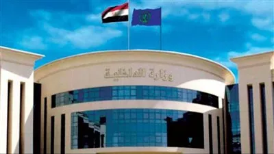 «الداخلية» تسمح لـ41 مواطناً مصريًا بالحصول على جنسيات أخرى