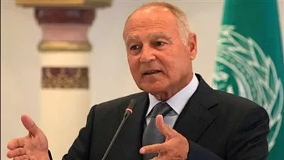 أبو الغيط: نخوض نضال إعادة غزة للحياة لحفظ حقوق الفلسطينيين