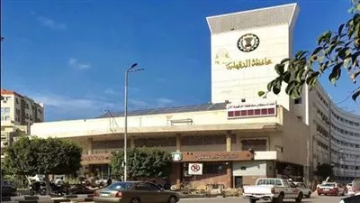 تعديل المخططات التفصيلية لقرية طنامل الشرقي وعزبة الإتربي بالدقهلية