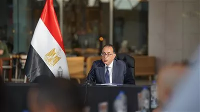 إطلاق منصة مجمعة لتسهيل الإجراءات على رواد الأعمال في مصر .. خلال أيام