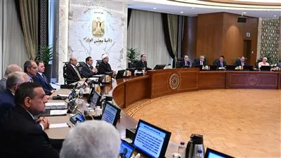 مجلس الوزراء يوافق على إنشاء «المجلس الوطنى للتعليم والبحث والابتكار»