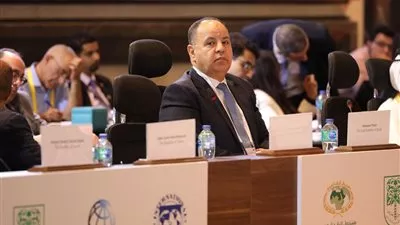 وزير المالية: حشد كل قدرات الدولة للسيطرة على التضخم ودفع النشاط الاقتصادي