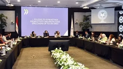 «التخطيط» تشارك باجتماع مجموعة عمل مشروع خصائص الاستثمار الأجنبي المباشر في مصر