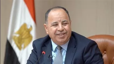 وزير المالية يعلن إطلاق مشروع تطوير وميكنة منظومة الضرائب العقارية 