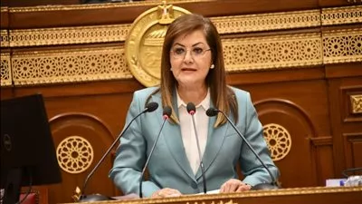 «التخطيط»: 136.1 مليار جنيه استثمارات البترول والغاز خلال العام المالي المقبل